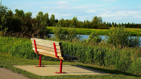 In che modo il consumo di fibre può supportare la mia perdita di peso?